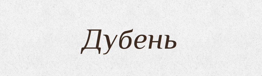 Дубень — Російсько-український академічний словник (А–П)