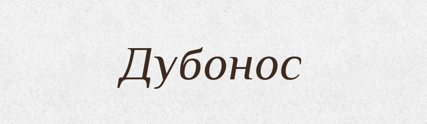 Дубонос — Російсько-український академічний словник (А–П)