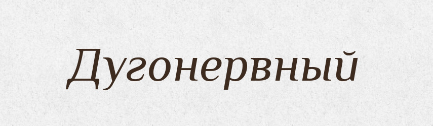 Дугонервный — Російсько-український академічний словник (А–П)
