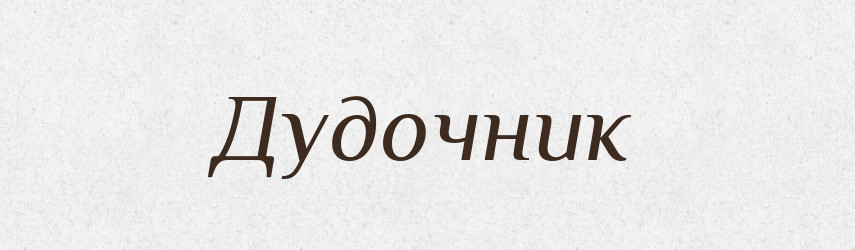 Дудочник — Російсько-український академічний словник (А–П)