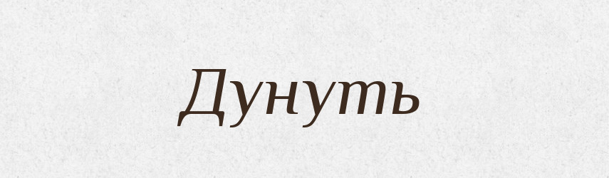 Дунуть — Російсько-український академічний словник (А–П)