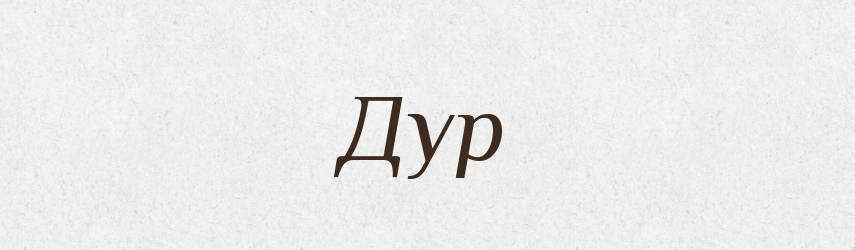 Дур — Російсько-український академічний словник (А–П)