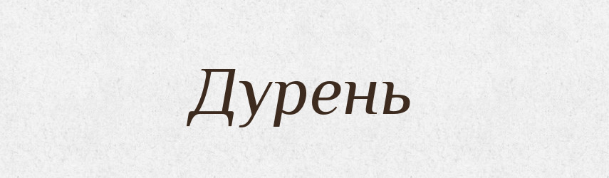Дурень — Російсько-український академічний словник (А–П)