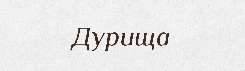 Дурища — Російсько-український академічний словник (А–П)