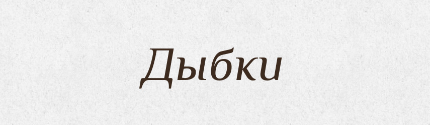 Дыбки — Російсько-український академічний словник (А–П)