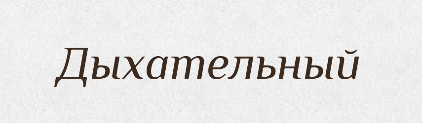 Дыхательный — Російсько-український академічний словник (А–П)