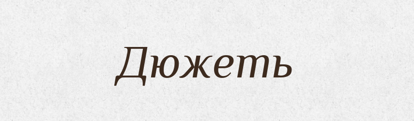 Дюжеть — Російсько-український академічний словник (А–П)