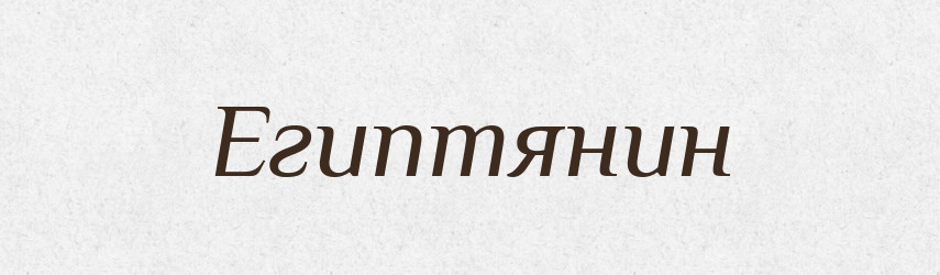 Египтянин — Російсько-український академічний словник (А–П)