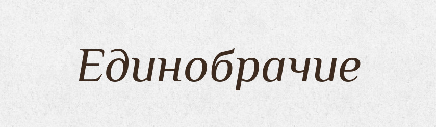 Единобрачие — Російсько-український академічний словник (А–П)