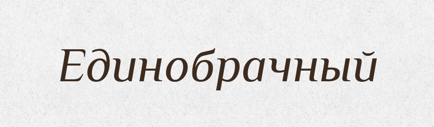 Единобрачный — Російсько-український академічний словник (А–П)