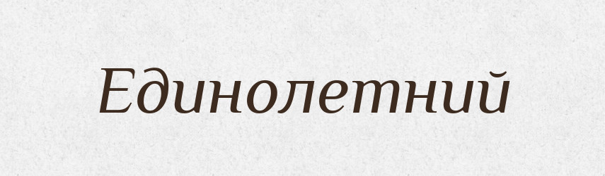Единолетний — Російсько-український академічний словник (А–П)