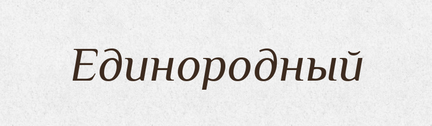 Единородный — Російсько-український академічний словник (А–П)