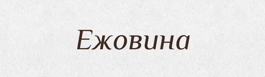 Ежовина — Російсько-український академічний словник (А–П)