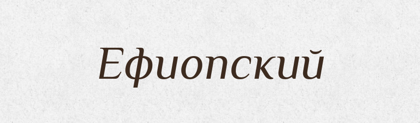 Ефиопский — Російсько-український академічний словник (А–П)