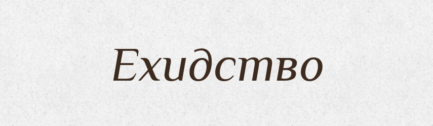 Ехидство — Російсько-український академічний словник (А–П)