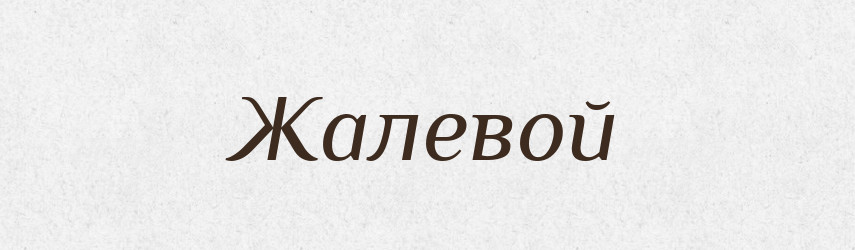 Жалевой — Російсько-український академічний словник (А–П)