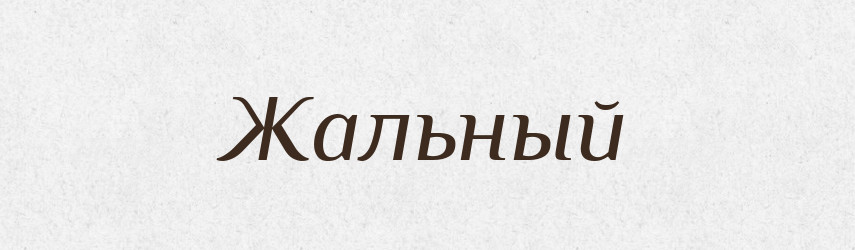 Жальный — Російсько-український академічний словник (А–П)