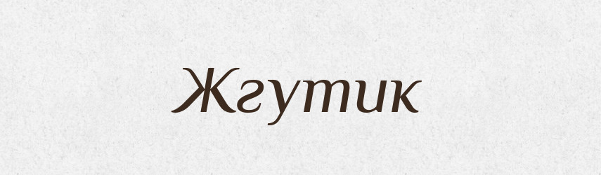 Жгутик — Російсько-український академічний словник (А–П)