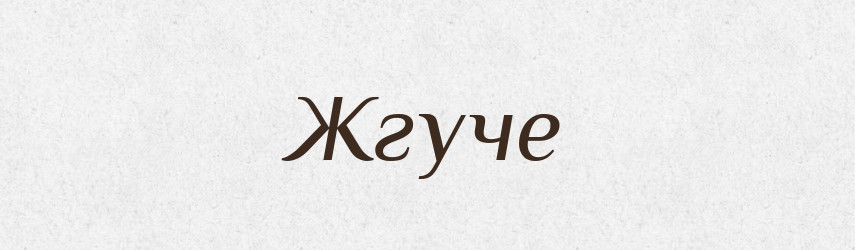 Жгуче — Російсько-український академічний словник (А–П)