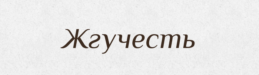Жгучесть — Російсько-український академічний словник (А–П)