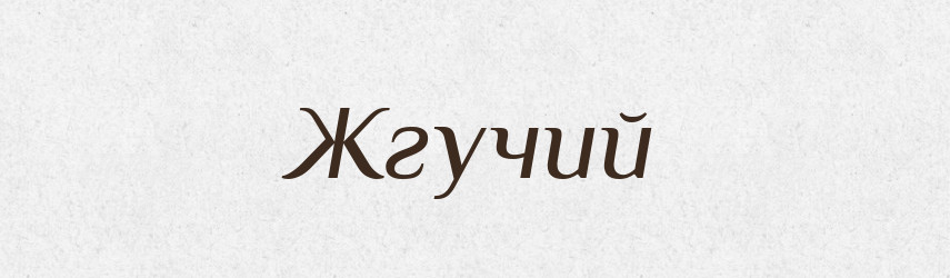 Жгучий — Російсько-український академічний словник (А–П)