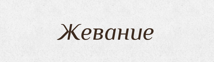 Жевание — Російсько-український академічний словник (А–П)
