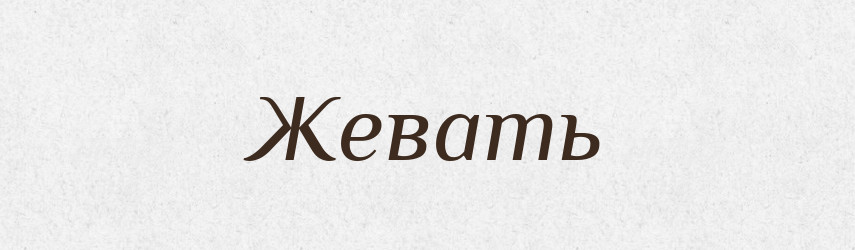 Жевать — Російсько-український академічний словник (А–П)