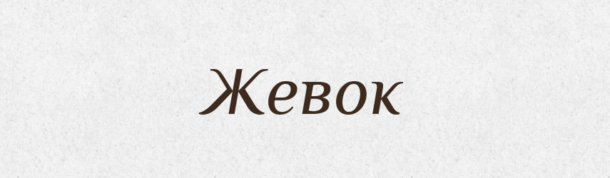 Жевок — Російсько-український академічний словник (А–П)
