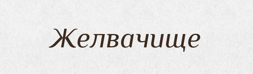 Желвачище — Російсько-український академічний словник (А–П)