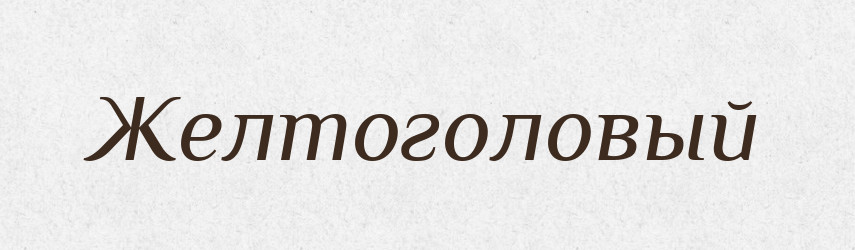 Желтоголовый — Російсько-український академічний словник (А–П)