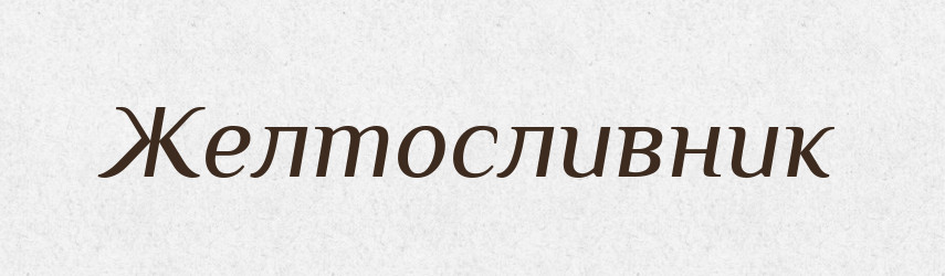 Желтосливник — Російсько-український академічний словник (А–П)