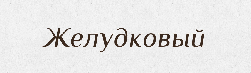Желудковый — Російсько-український академічний словник (А–П)