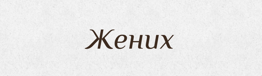 Жених — Російсько-український академічний словник (А–П)
