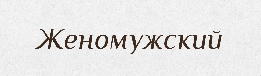 Женомужский — Російсько-український академічний словник (А–П)
