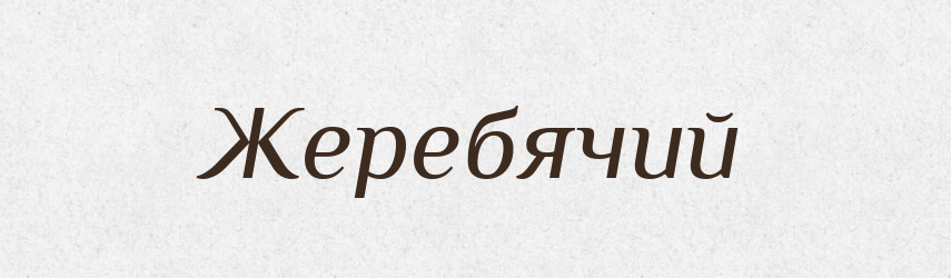 Жеребячий — Російсько-український академічний словник (А–П)