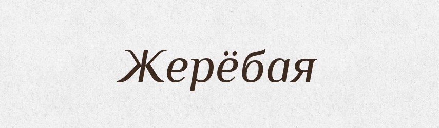Жерёбая — Російсько-український академічний словник (А–П)