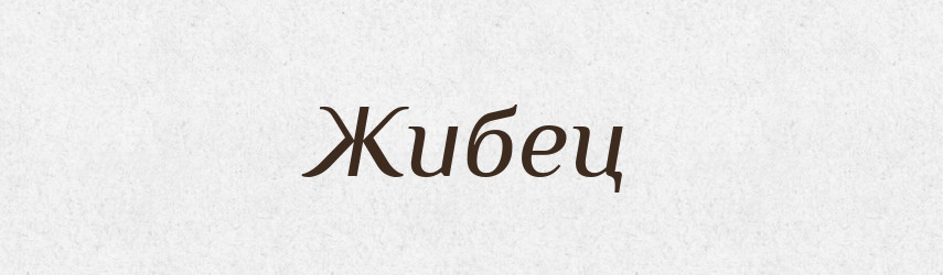 Жибец — Російсько-український академічний словник (А–П)