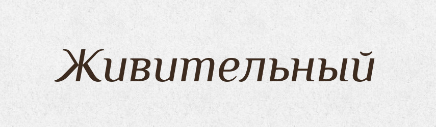 Живительный — Російсько-український академічний словник (А–П)