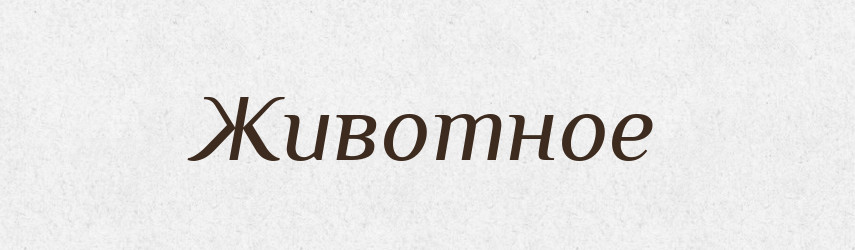 Животное — Російсько-український академічний словник (А–П)