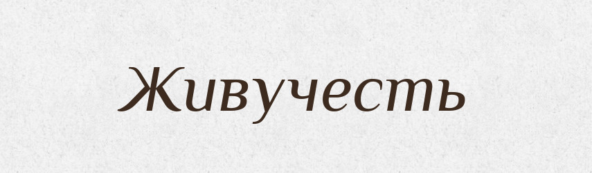 Живучесть — Російсько-український академічний словник (А–П)
