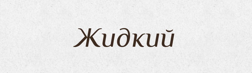 Жидкий — Російсько-український академічний словник (А–П)