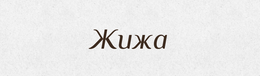 Жижа — Російсько-український академічний словник (А–П)