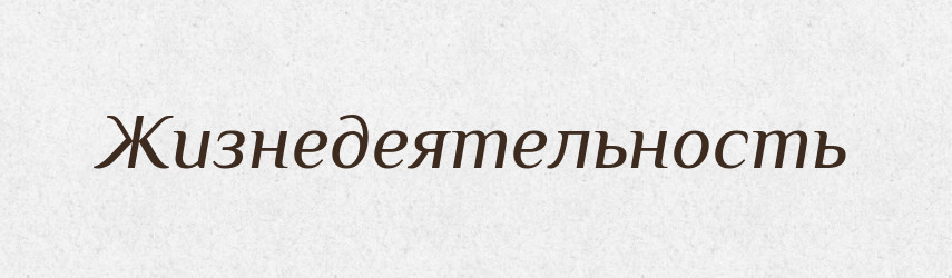 Жизнедеятельность — Російсько-український академічний словник (А–П)