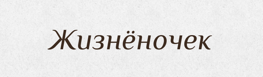 Жизнёночек — Російсько-український академічний словник (А–П)