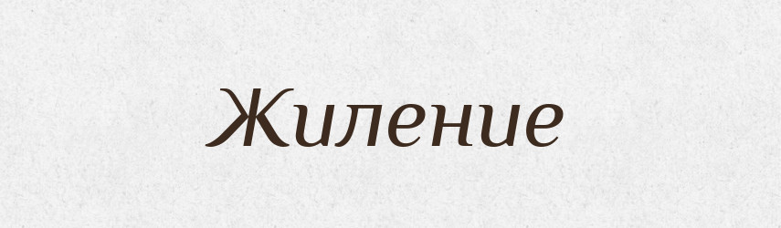Жиление — Російсько-український академічний словник (А–П)