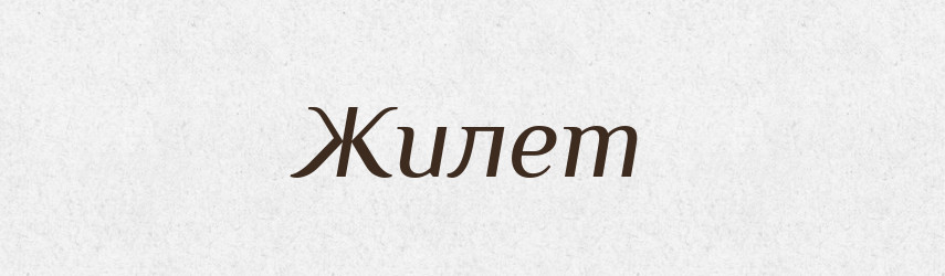 Жилет — Російсько-український академічний словник (А–П)