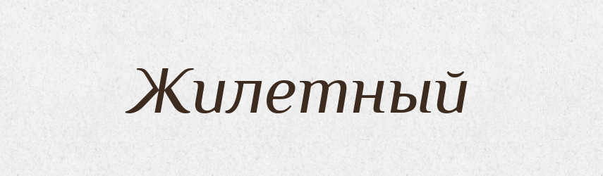 Жилетный — Російсько-український академічний словник (А–П)