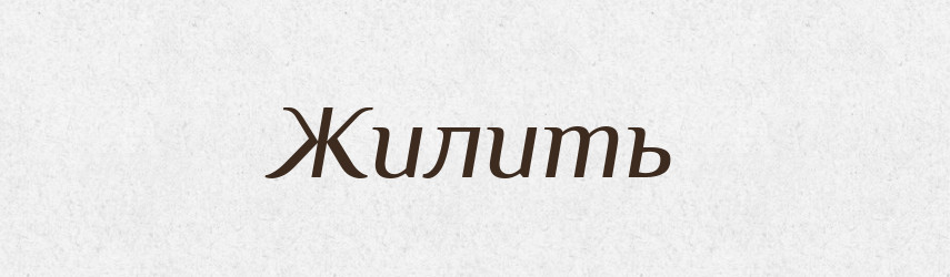 Жилить — Російсько-український академічний словник (А–П)