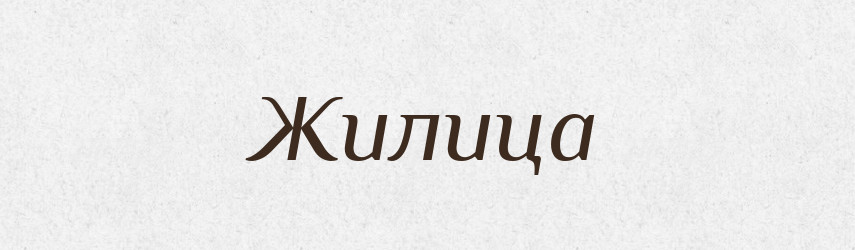 Жилица — Російсько-український академічний словник (А–П)
