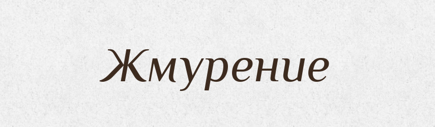 Жмурение — Російсько-український академічний словник (А–П)